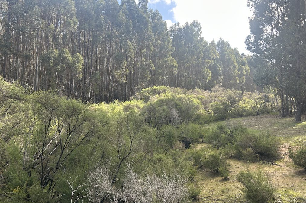 3 Bramley River Road, Osmington, WA, 6285 - Image 17