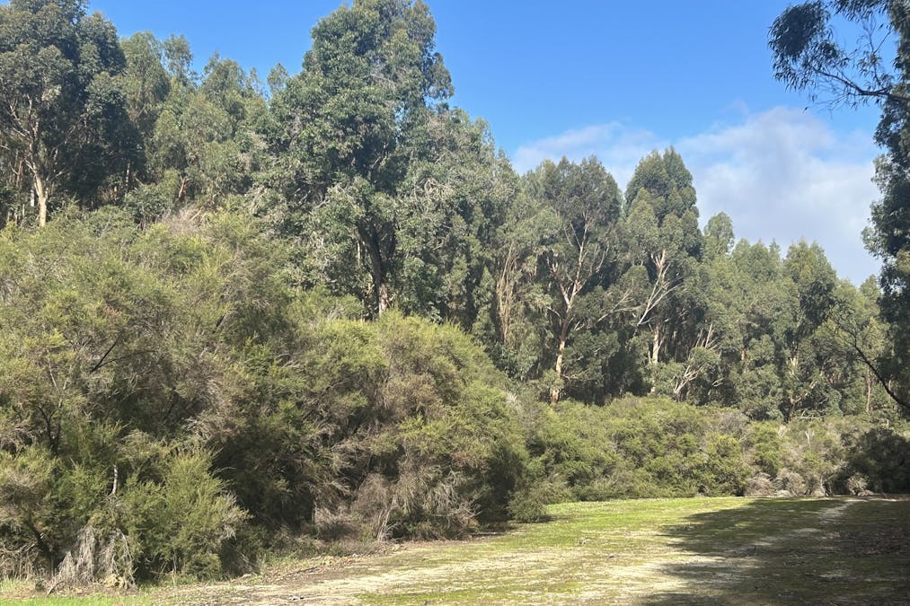 3 Bramley River Road, Osmington, WA, 6285 - Image 10