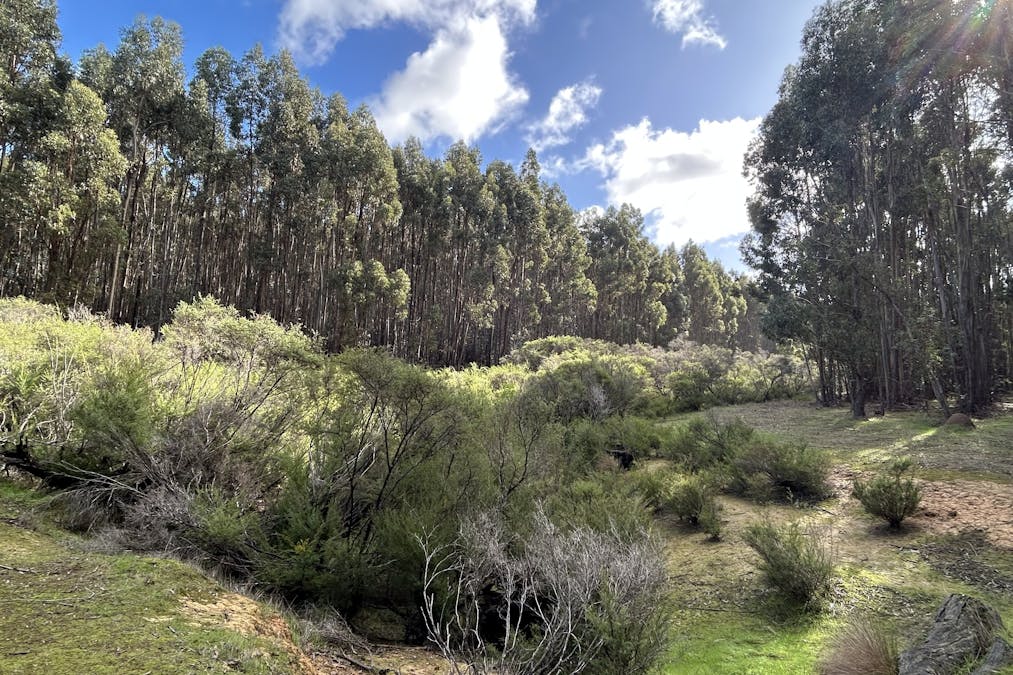 3 Bramley River Road, Osmington, WA, 6285 - Image 7