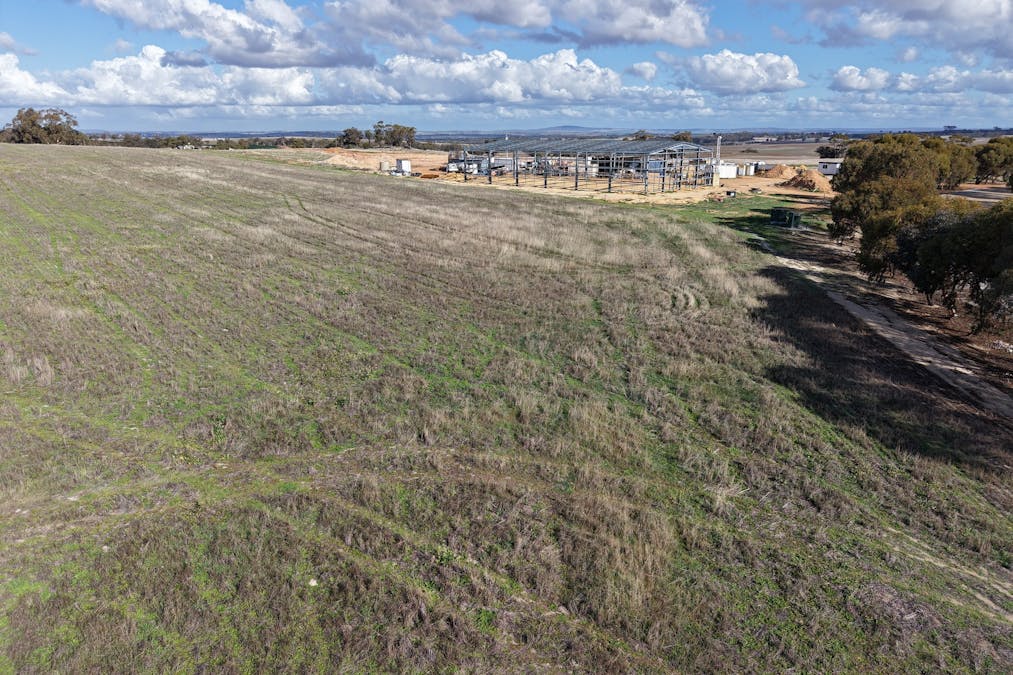 Lot 27 Spionkop Road, Grass Valley, WA, 6403 - Image 14