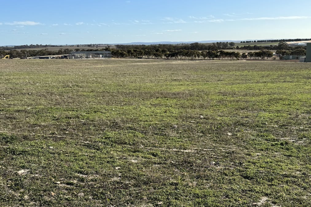 Lot 27 Spionkop Road, Grass Valley, WA, 6403 - Image 9