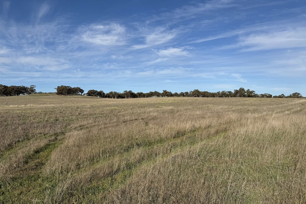 Lot 27 Spionkop Road, Grass Valley, WA, 6403 - Image 11