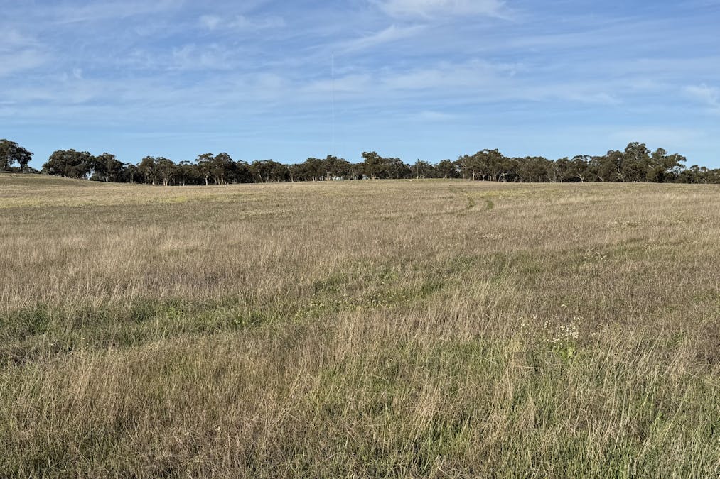 Lot 27 Spionkop Road, Grass Valley, WA, 6403 - Image 12