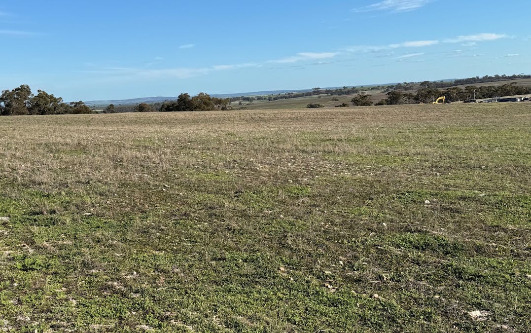 Lot 27 Spionkop Road, Grass Valley, WA, 6403 - Image 10