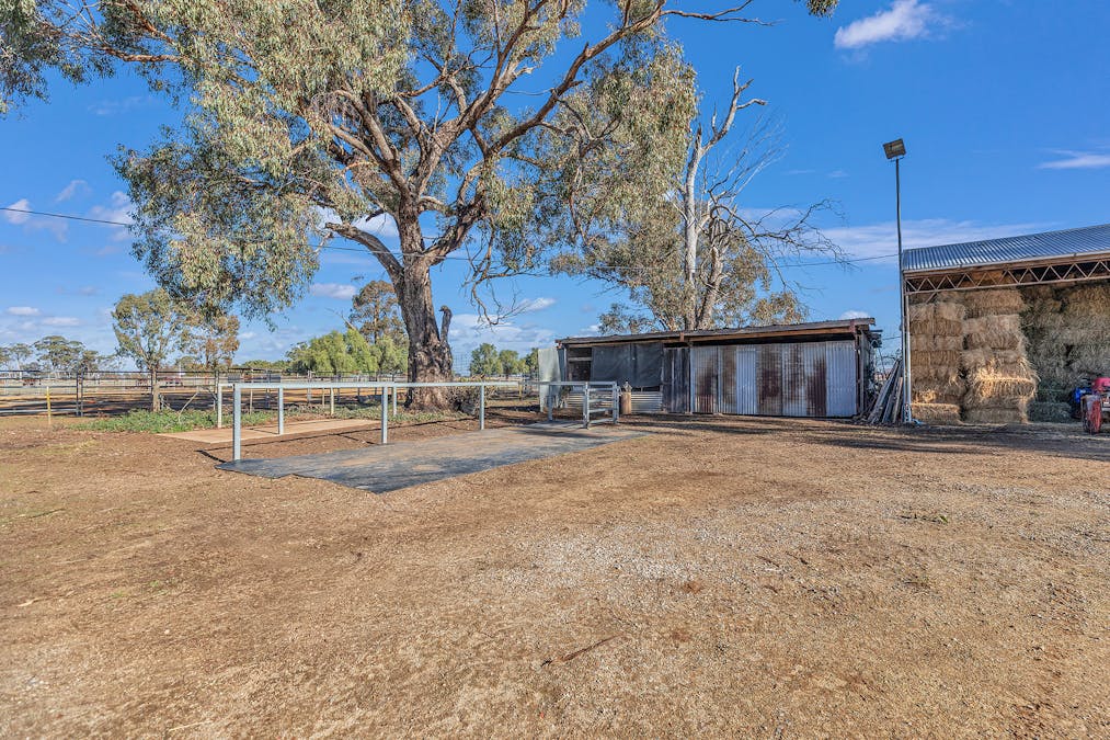 186 Alfred Road, Wyuna, VIC, 3620 - Image 16