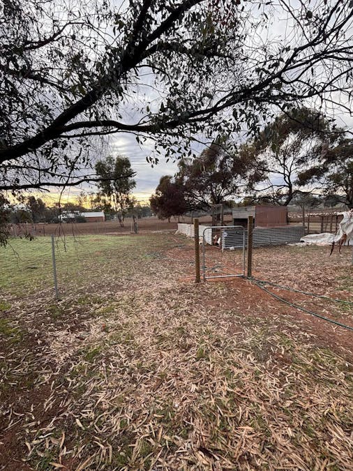 27 Bland Road, York, WA, 6302 - Image 14