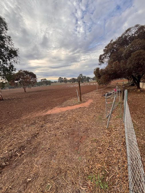 27 Bland Road, York, WA, 6302 - Image 16