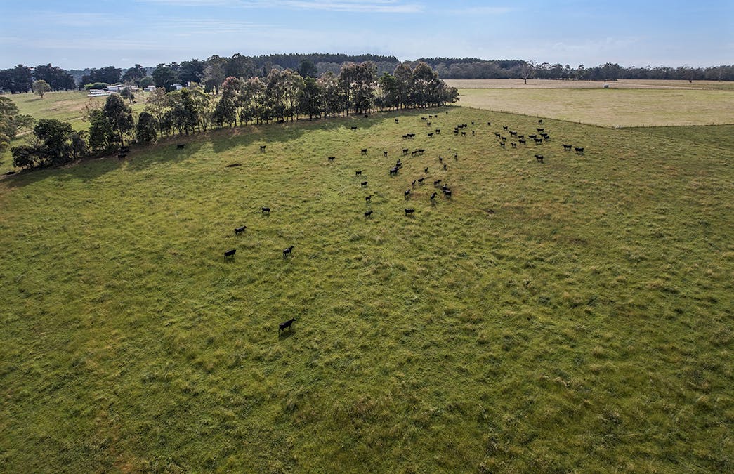 499 East Greenwald Road, Greenwald, VIC, 3304 - Image 2