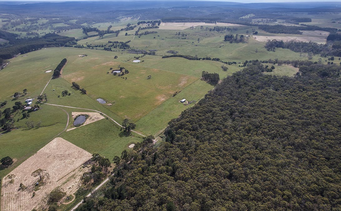 499 East Greenwald Road, Greenwald, VIC, 3304 - Image 16