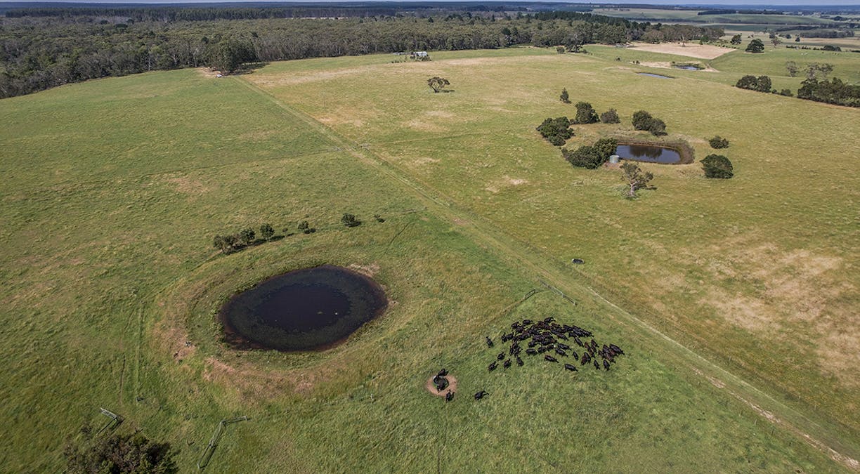 499 East Greenwald Road, Greenwald, VIC, 3304 - Image 17