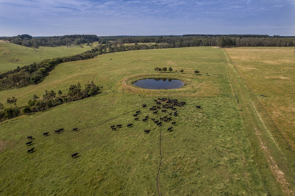 499 East Greenwald Road, Greenwald, VIC, 3304 - Image 18