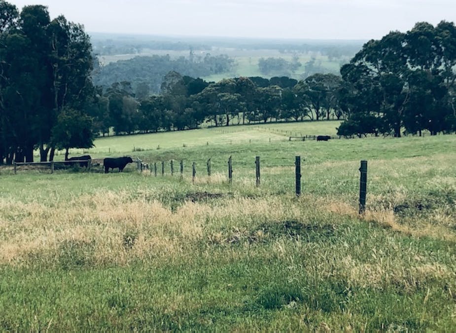 499 East Greenwald Road, Greenwald, VIC, 3304 - Image 24