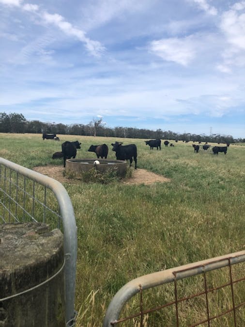 499 East Greenwald Road, Greenwald, VIC, 3304 - Image 33