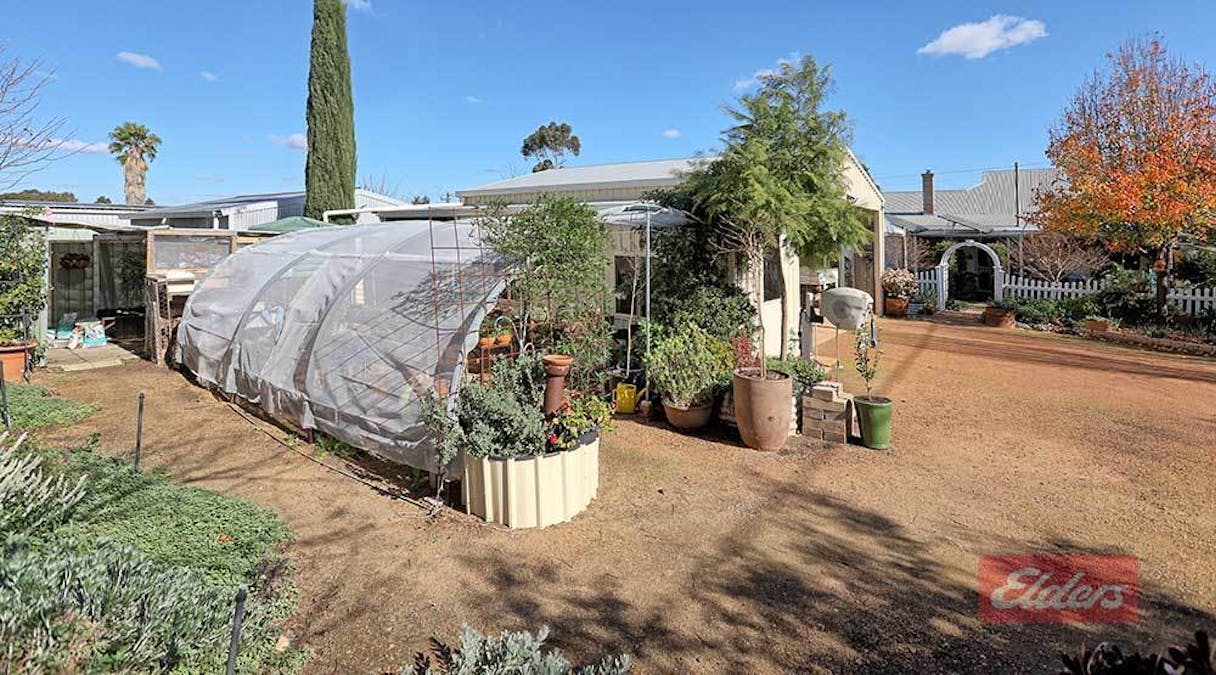 37 Garfield Street, Narrogin, WA, 6312 - Image 27