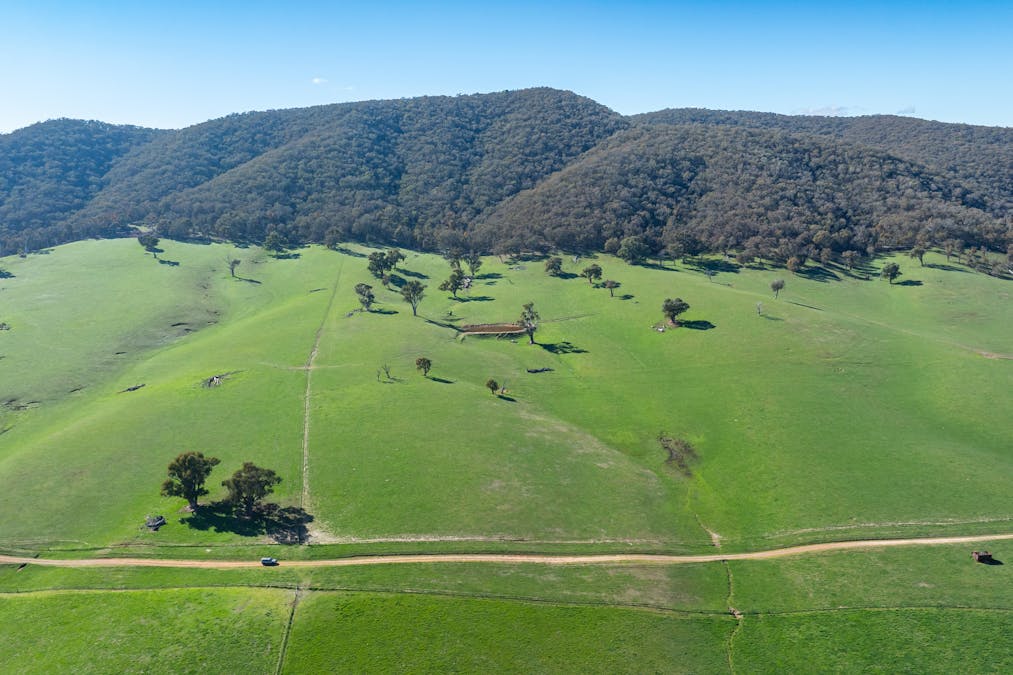 681 Mannus Lake Road, Tumbarumba, NSW, 2653 - Image 8