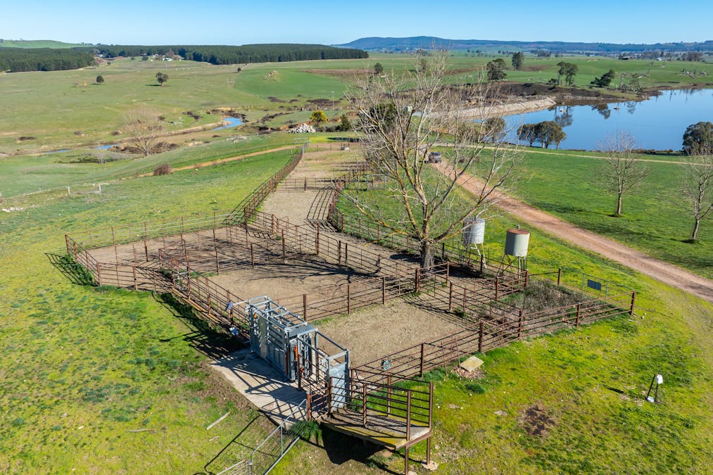 681 Mannus Lake Road, Tumbarumba, NSW, 2653 - Image 13