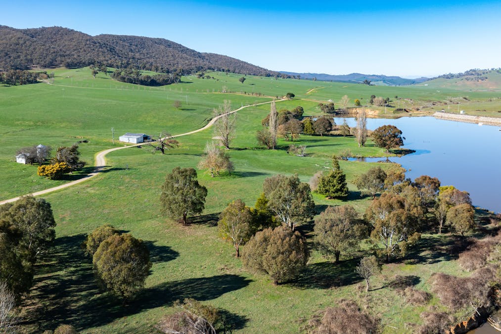 681 Mannus Lake Road, Tumbarumba, NSW, 2653 - Image 4