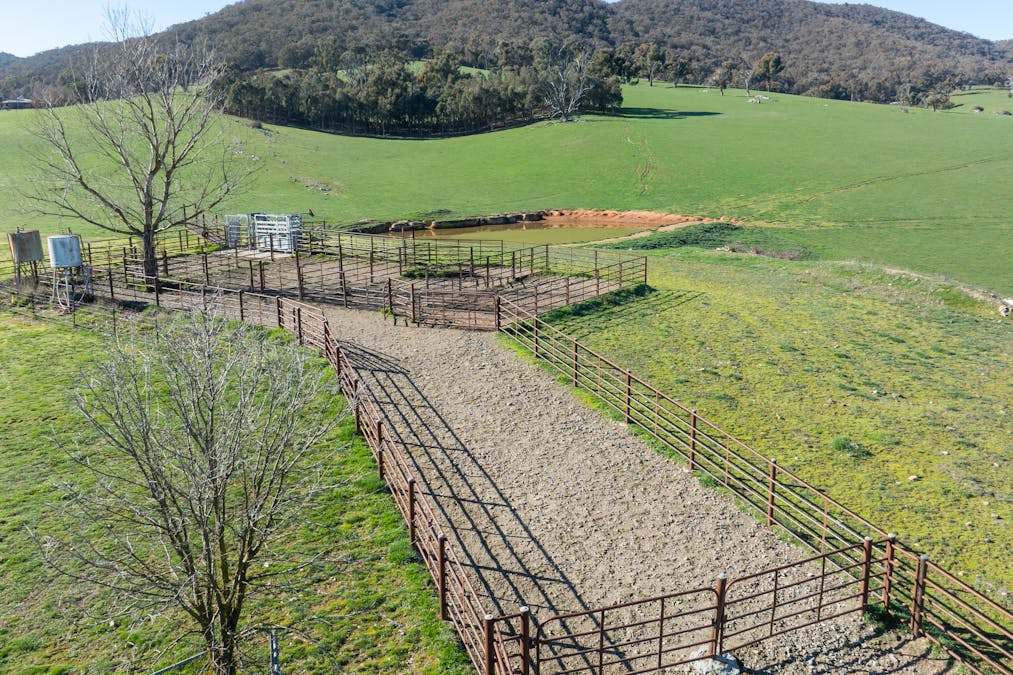 681 Mannus Lake Road, Tumbarumba, NSW, 2653 - Image 14