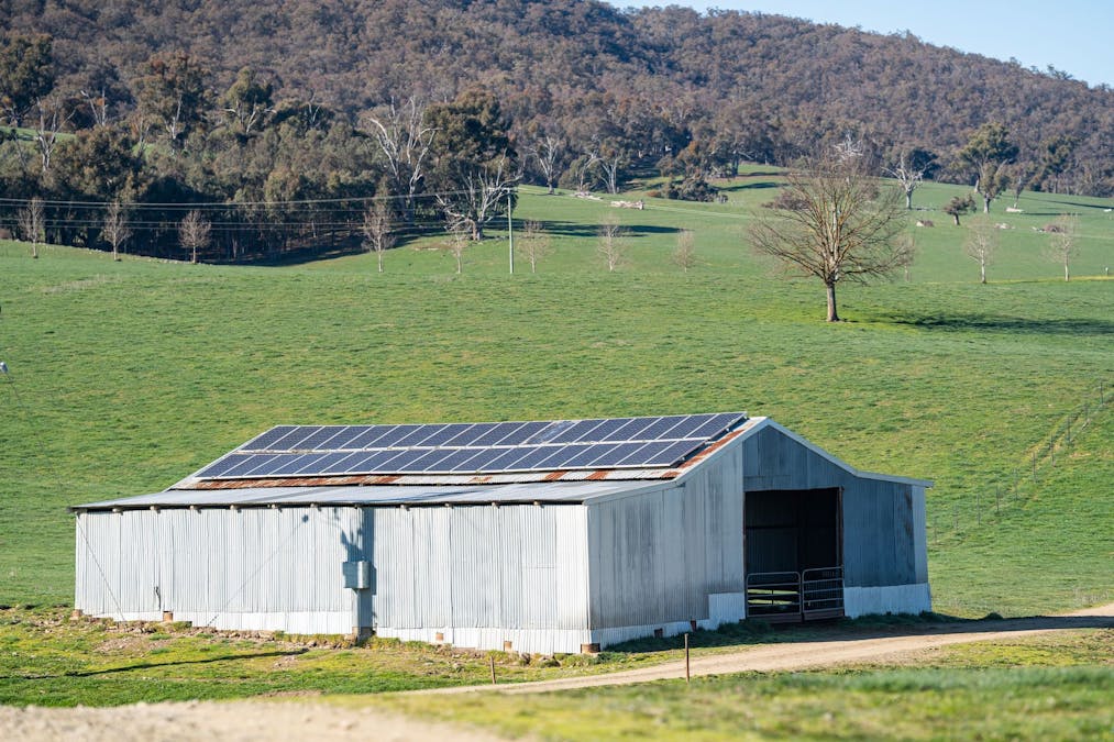 681 Mannus Lake Road, Tumbarumba, NSW, 2653 - Image 5
