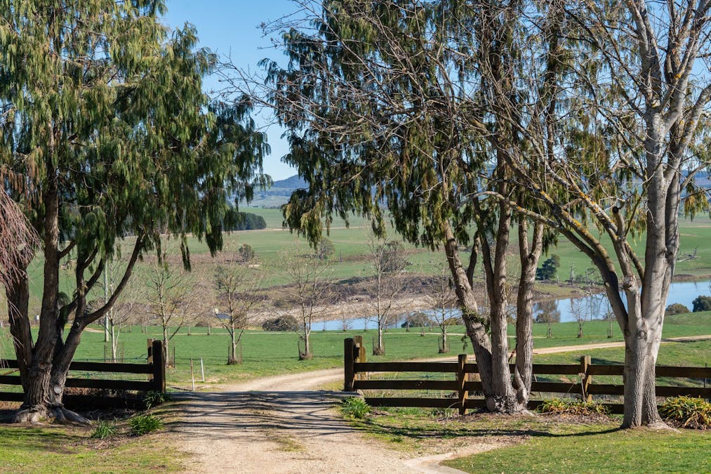 681 Mannus Lake Road, Tumbarumba, NSW, 2653 - Image 16