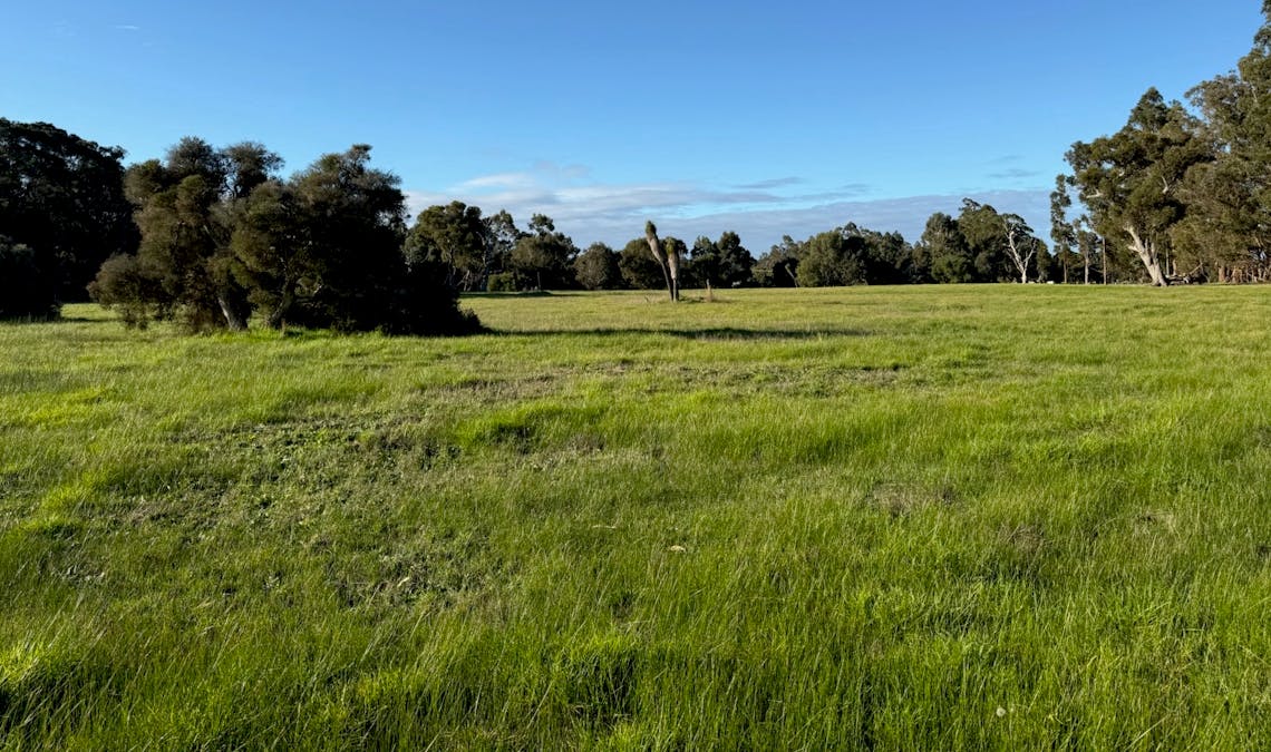 Lot 16 Norna Drive, Crowea, WA, 6262 - Image 1