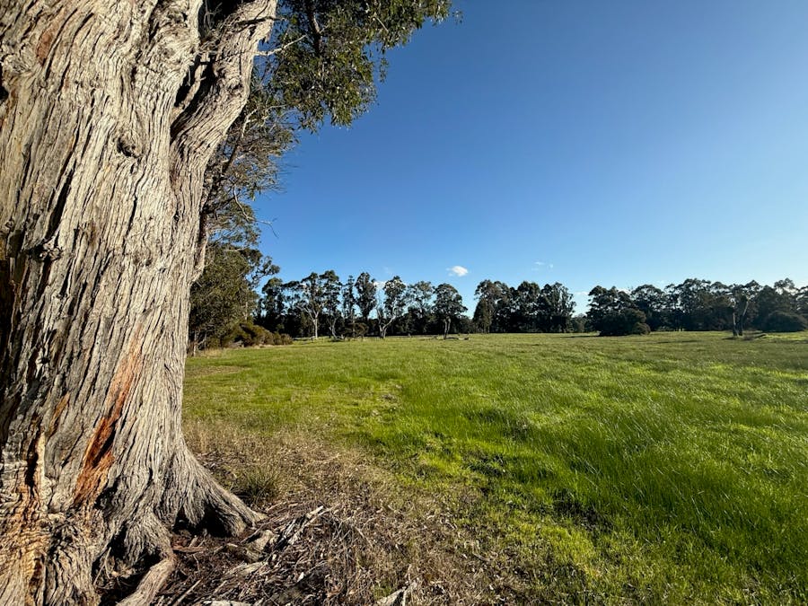 Lot 16 Norna Drive, Crowea, WA, 6262 - Image 2