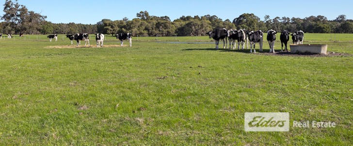 16 Froome End, Ludlow, WA, 6280 - Image 1