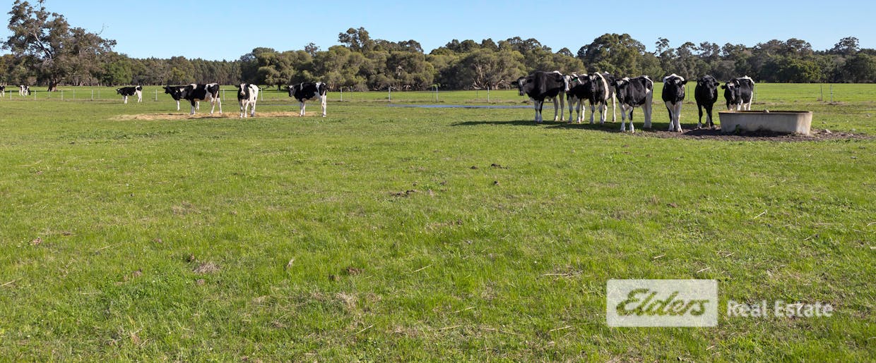 16 Froome End, Ludlow, WA, 6280 - Image 1
