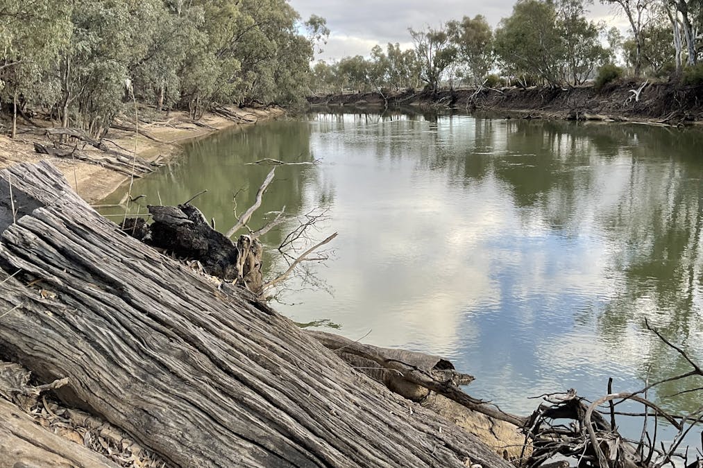 Campbells Island Road, Barham, NSW, 2732 - Image 5
