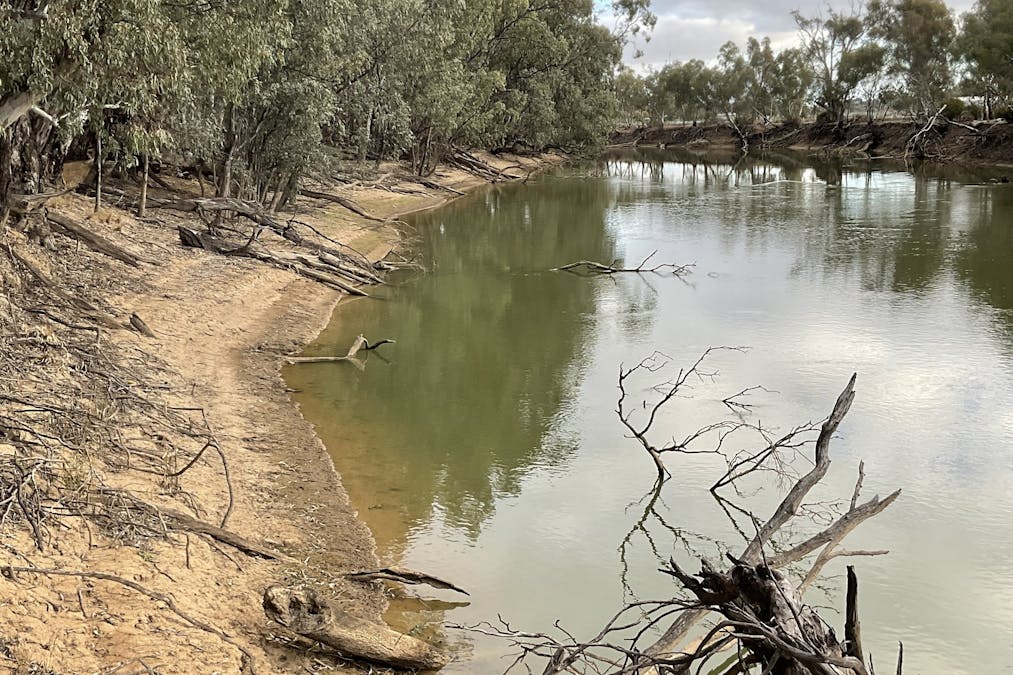 Campbells Island Road, Barham, NSW, 2732 - Image 6