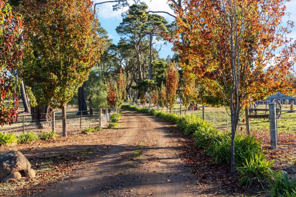 136 Darlington-Carranballac Road, Darlington, VIC, 3271 - Image 8