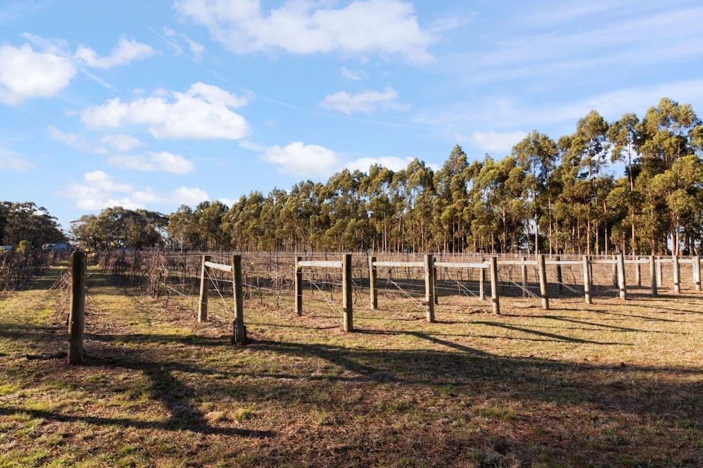 136 Darlington-Carranballac Road, Darlington, VIC, 3271 - Image 34