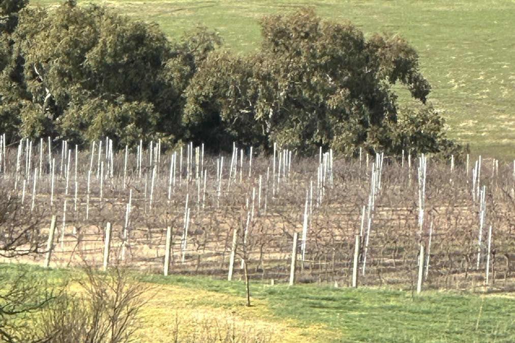 136 Darlington-Carranballac Road, Darlington, VIC, 3271 - Image 9