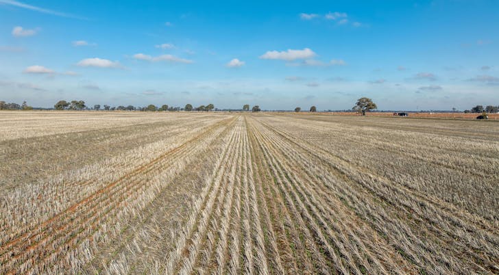 Christies Road, Katunga, VIC, 3640 - Image 1