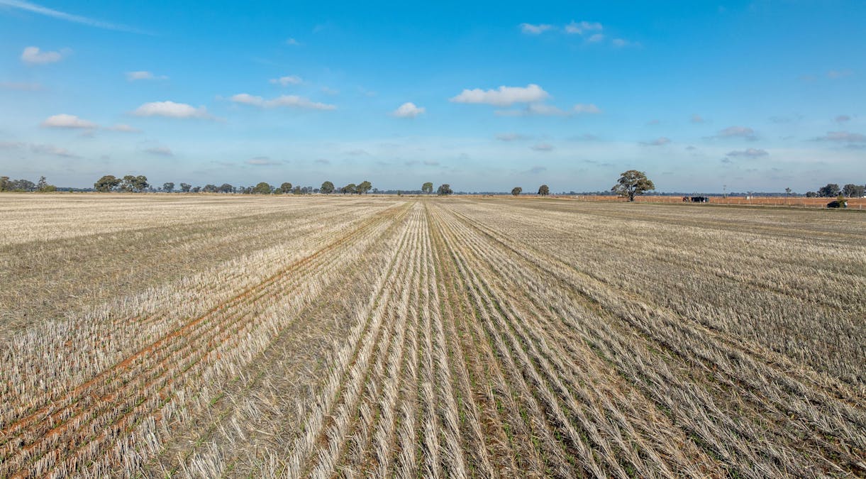 Christies Road, Katunga, VIC, 3640 - Image 1
