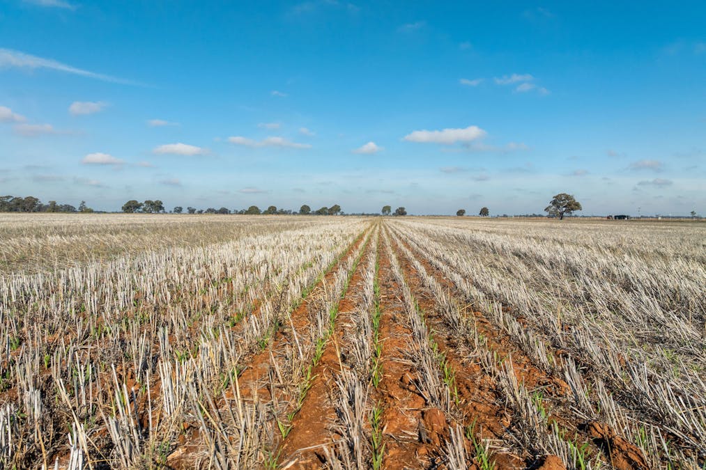 Christies Road, Katunga, VIC, 3640 - Image 10