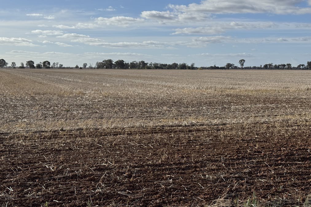 Christies Road, Katunga, VIC, 3640 - Image 11