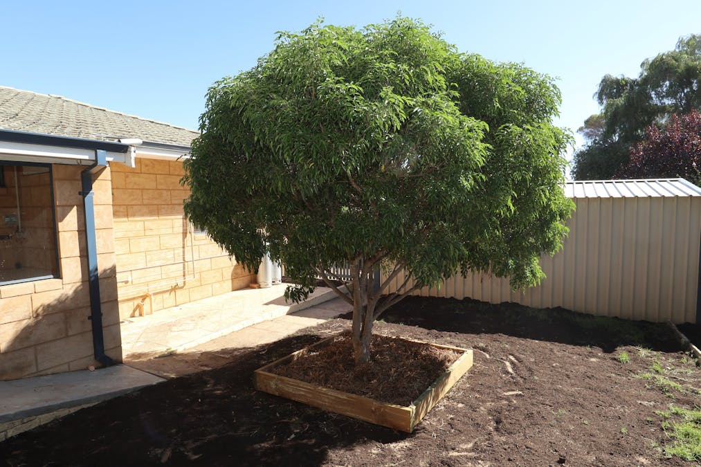 21 Homer Street, Narrogin, WA, 6312 - Image 24