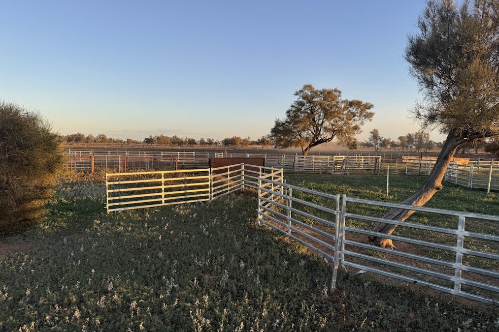 1654 Ivanhoe Cobar Road, Ivanhoe, NSW, 2878 - Image 20