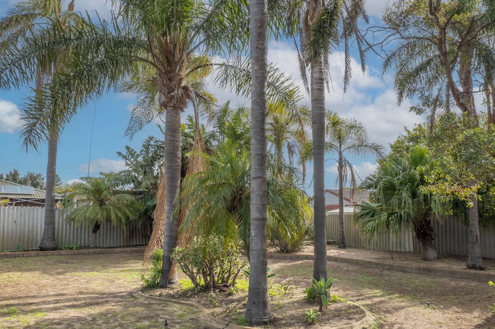 25 Ricketts Court, Rockingham, WA, 6168 - Image 22