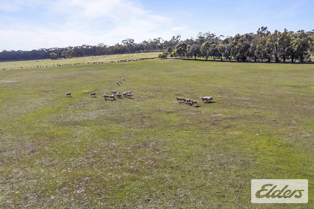 95 Curtis Road, Lamplough, VIC, 3352 - Image 15