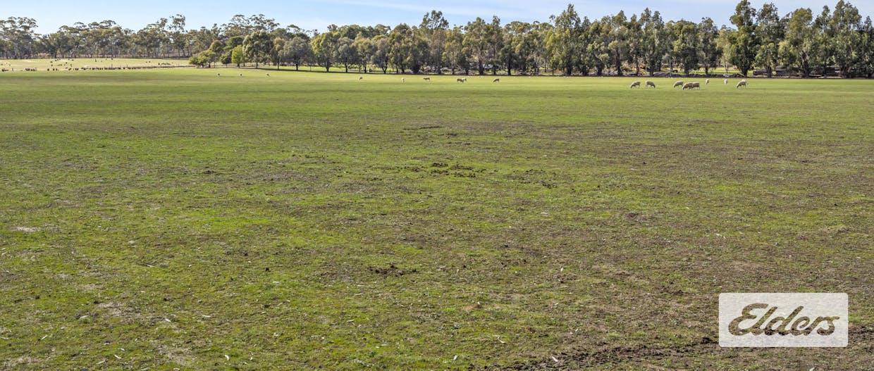 95 Curtis Road, Lamplough, VIC, 3352 - Image 12