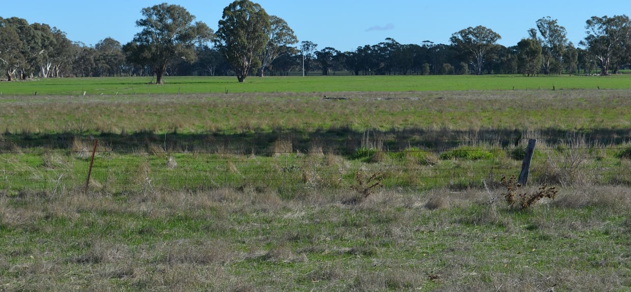 260 Burns Munn Road, Edenhope, VIC, 3318 - Image 5