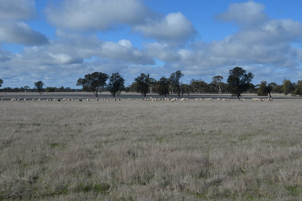 260 Burns Munn Road, Edenhope, VIC, 3318 - Image 4