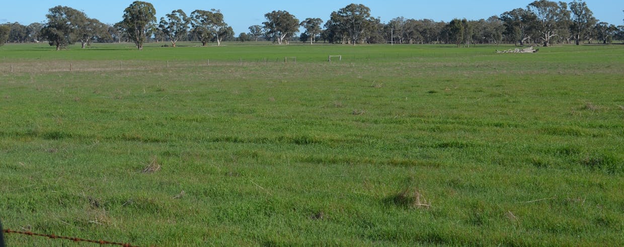 260 Burns Munn Road, Edenhope, VIC, 3318 - Image 1