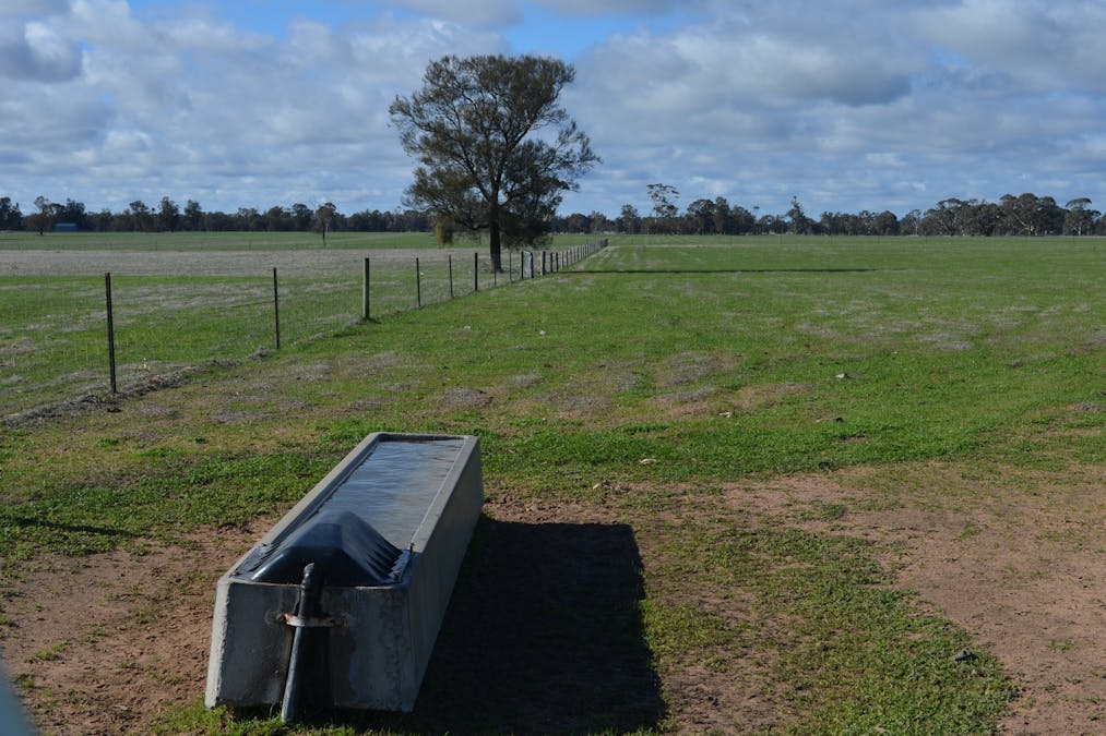 260 Burns Munn Road, Edenhope, VIC, 3318 - Image 6