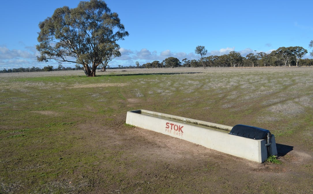 260 Burns Munn Road, Edenhope, VIC, 3318 - Image 7