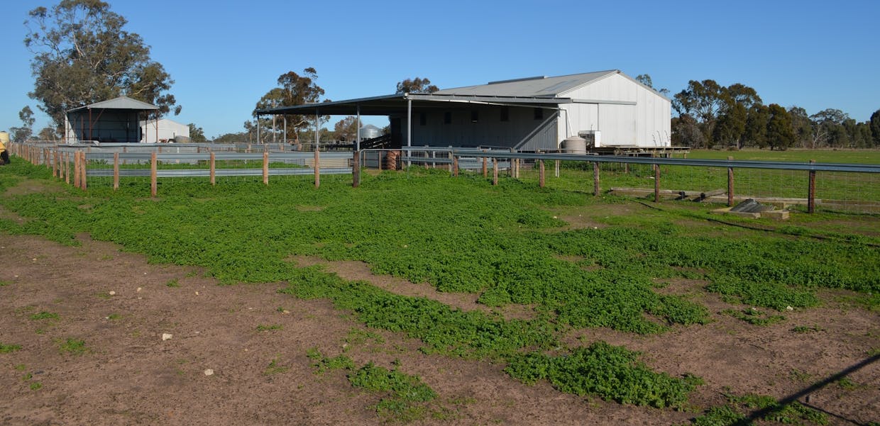 260 Burns Munn Road, Edenhope, VIC, 3318 - Image 3