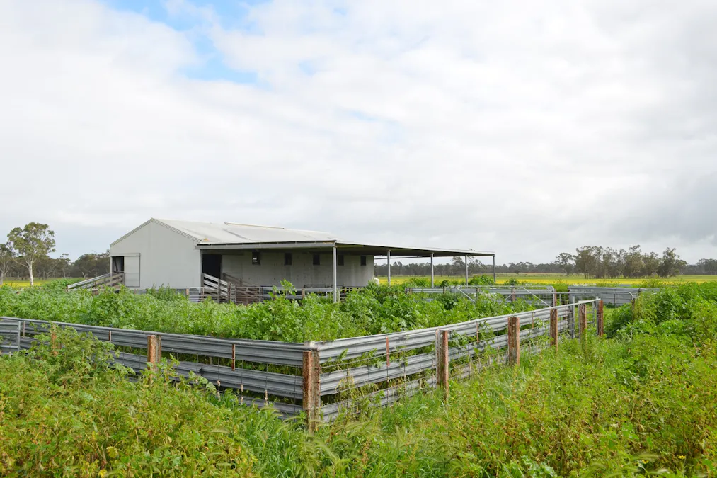 260 Burns Munn Road, Edenhope, VIC, 3318 - Image 14