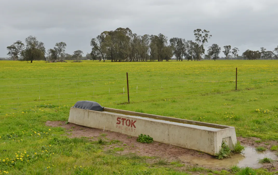 260 Burns Munn Road, Edenhope, VIC, 3318 - Image 19